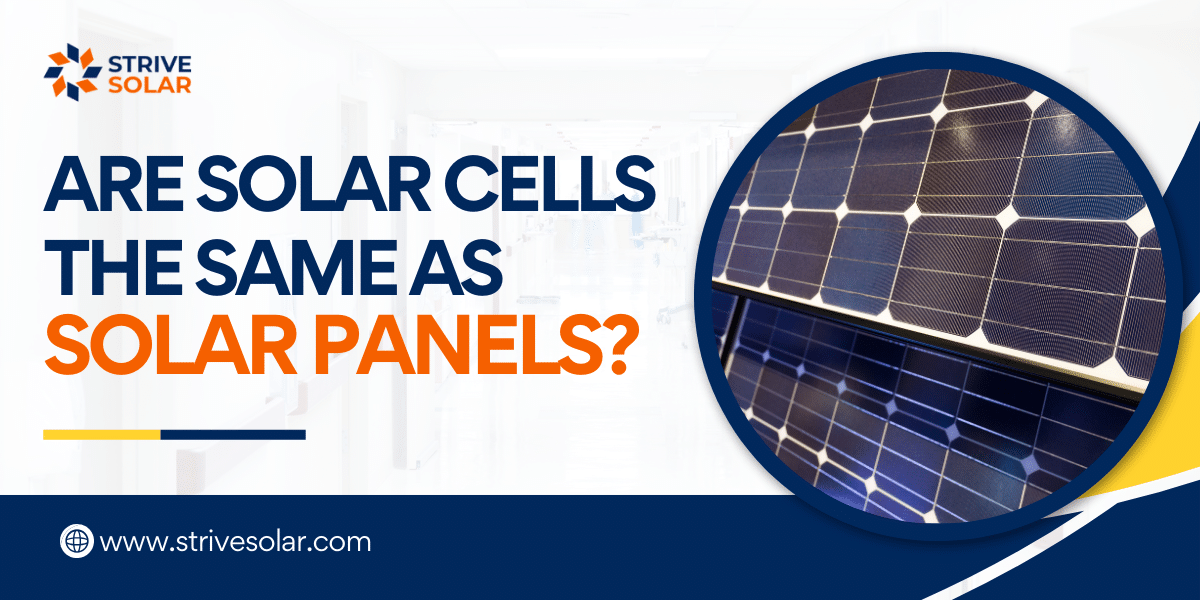 Are Solar Cells The Same As Solar Panels Strive Solar
